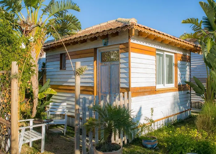 Cabana La Palmerita En Playa El Palmar